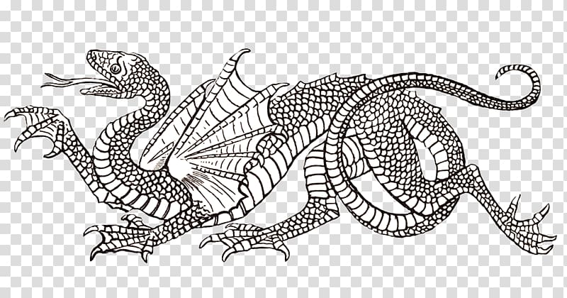 Dragon Drawing Line art, marsupial transparent background PNG clipart