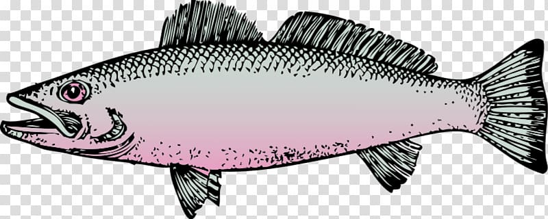 Fish Free content , Fish Graphics transparent background PNG clipart