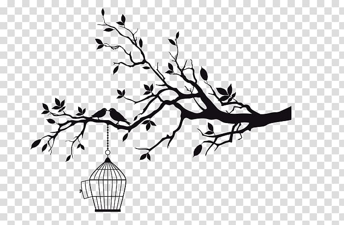 Wall decal Sticker Branch, tree transparent background PNG clipart