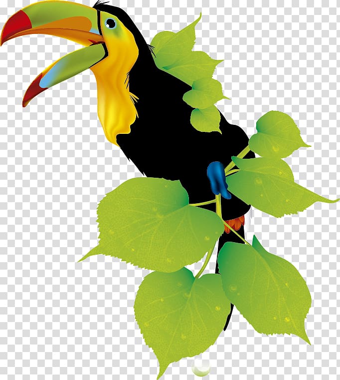 Toucan Responsive web design Hornbill, TUCAN transparent background PNG clipart