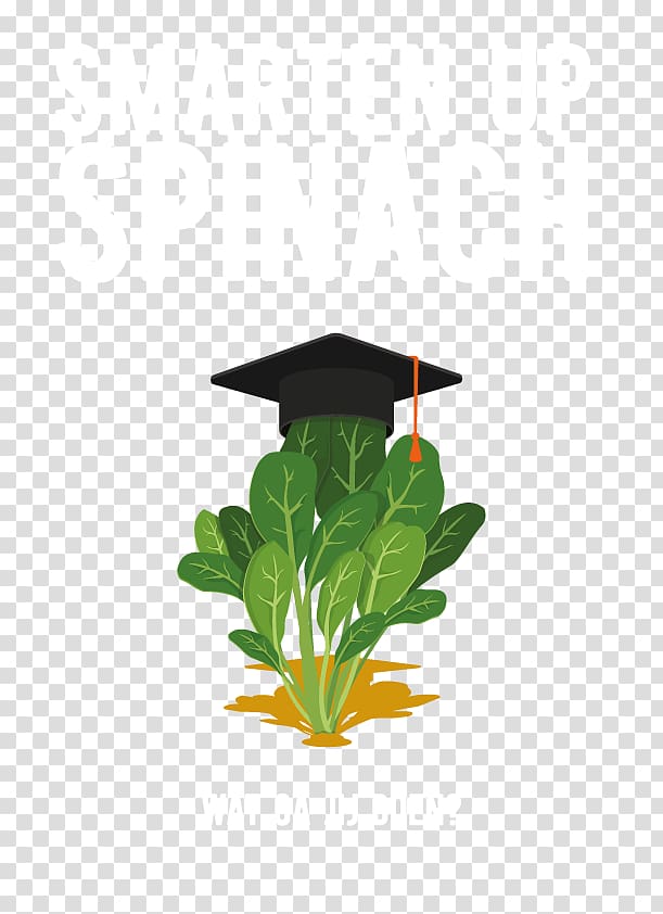 Seed Valley projectbureau Blauwe Berg Spinach YouTube Vegetable, Spinach Seed transparent background PNG clipart