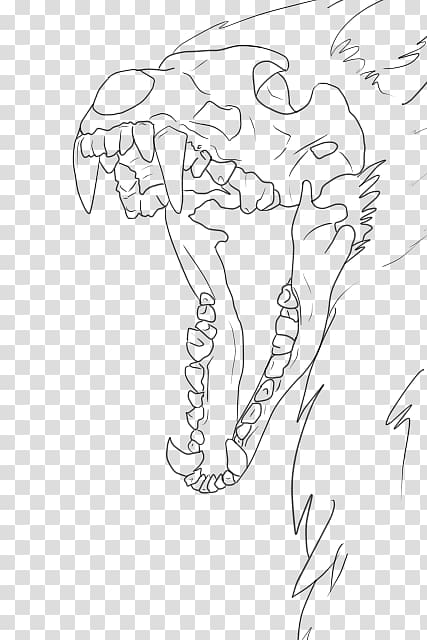 Carnivora Drawing Line art Skull Sketch, angry wolf face transparent background PNG clipart