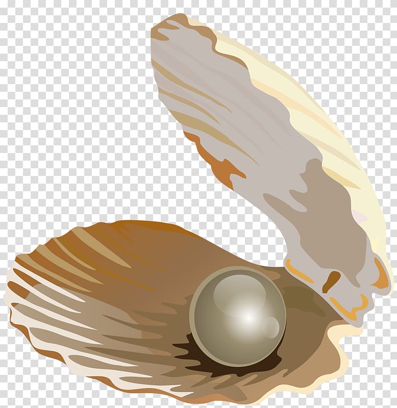 Seashell Pearl Jewellery, Pearl shell transparent background PNG clipart