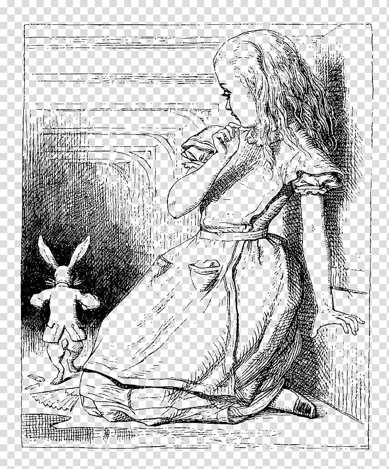 Alice\'s Adventures in Wonderland White Rabbit Aliciae per speculum transitus Dodo, vintage Alice In Wonderland transparent background PNG clipart
