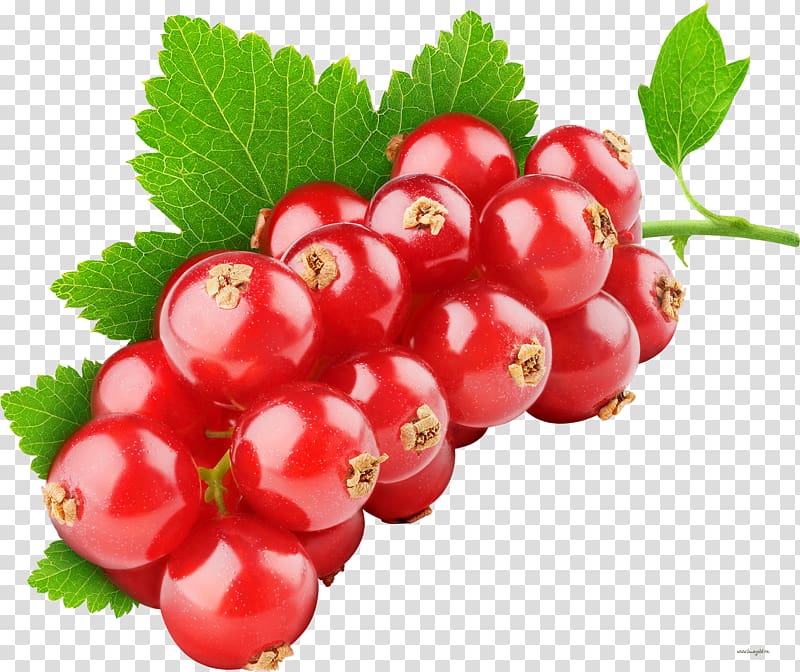 Tutti frutti Fruit Redcurrant Berry Health, berries transparent background PNG clipart
