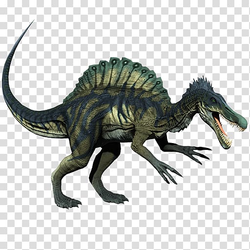 Spinosaurus Tyrannosaurus Primal Carnage: Extinction Velociraptor, dinosaur transparent background PNG clipart