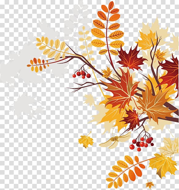 Autumn , Creative autumn plant material transparent background PNG clipart