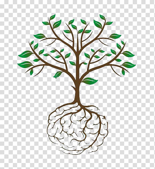 Root Brain Neuron Tree Plant stem, Brain transparent background PNG