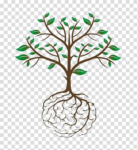 tree seedling clipart