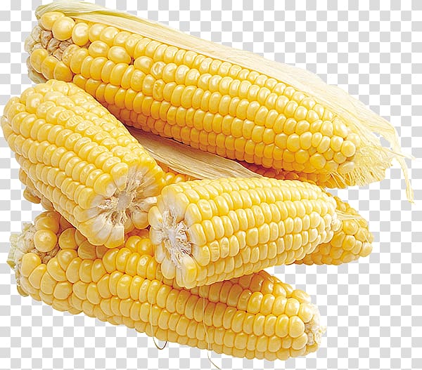 Corn on the cob Flour corn Flint corn , others transparent background PNG clipart