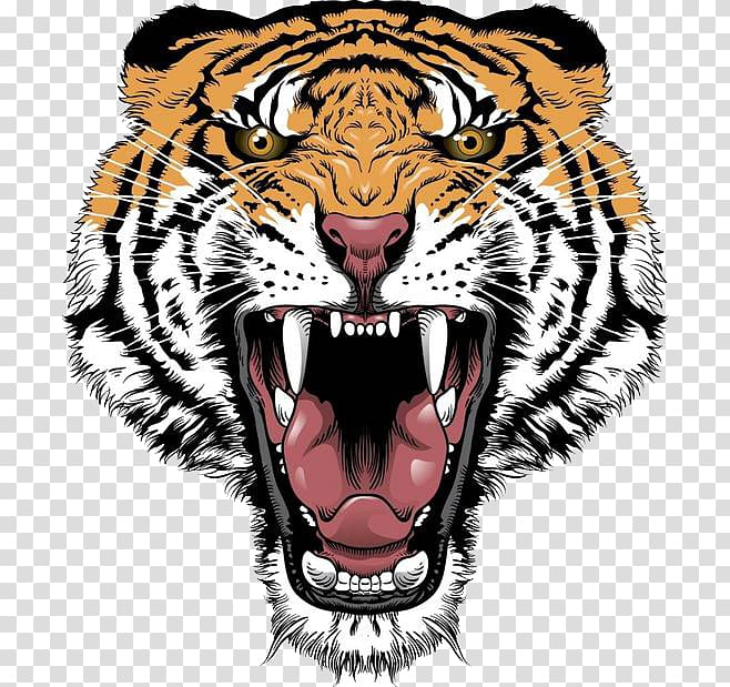 cartoon tiger mouth transparent background PNG clipart