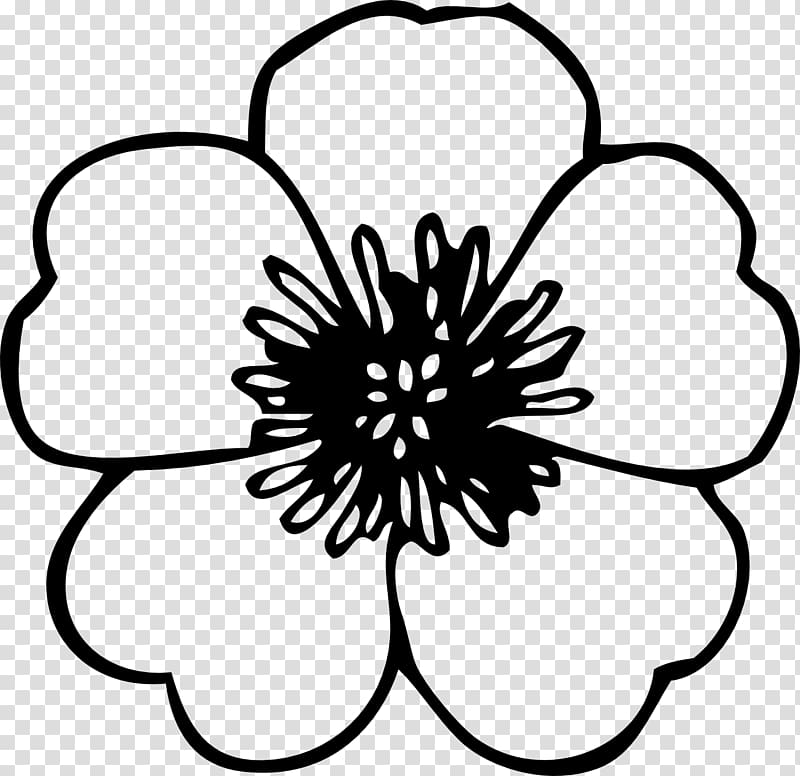 Flower Black and white Drawing , Spring BW transparent background PNG clipart