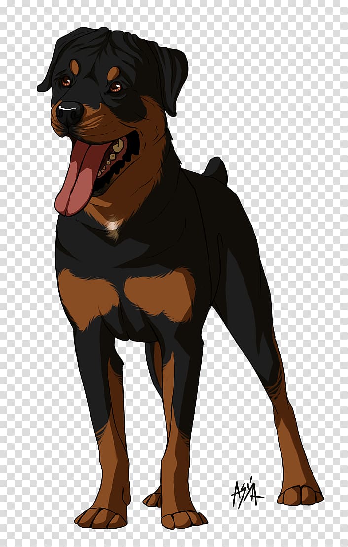 Dog breed Rottweiler Snout Animated cartoon, others transparent background PNG clipart