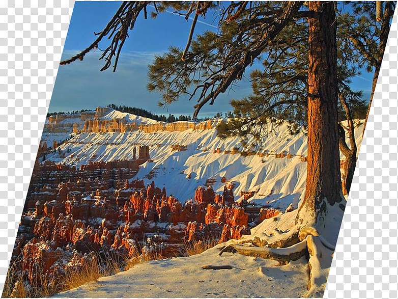 Bryce Canyon National Park State park Hoodoo, park transparent background PNG clipart