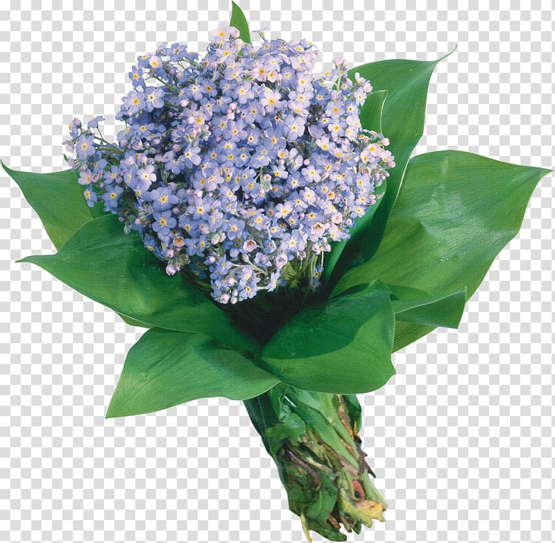 Flower bouquet Scorpion grasses Garden roses Blue, lilac flower transparent background PNG clipart