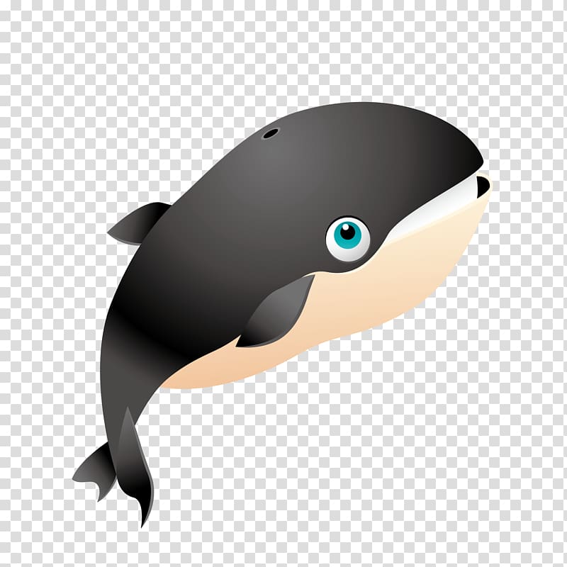 Blue whale Killer whale , Black Sharks transparent background PNG clipart
