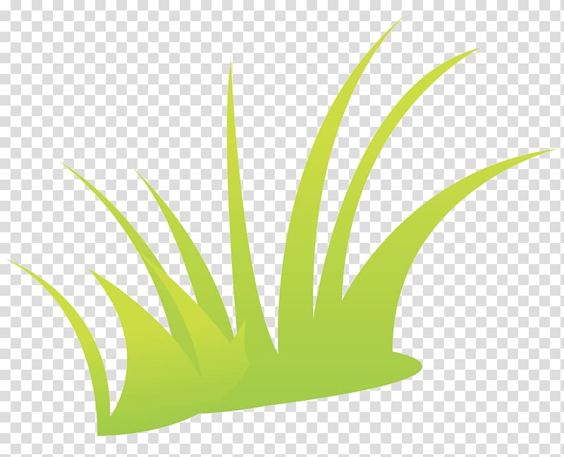 Green grass transparent background PNG clipart