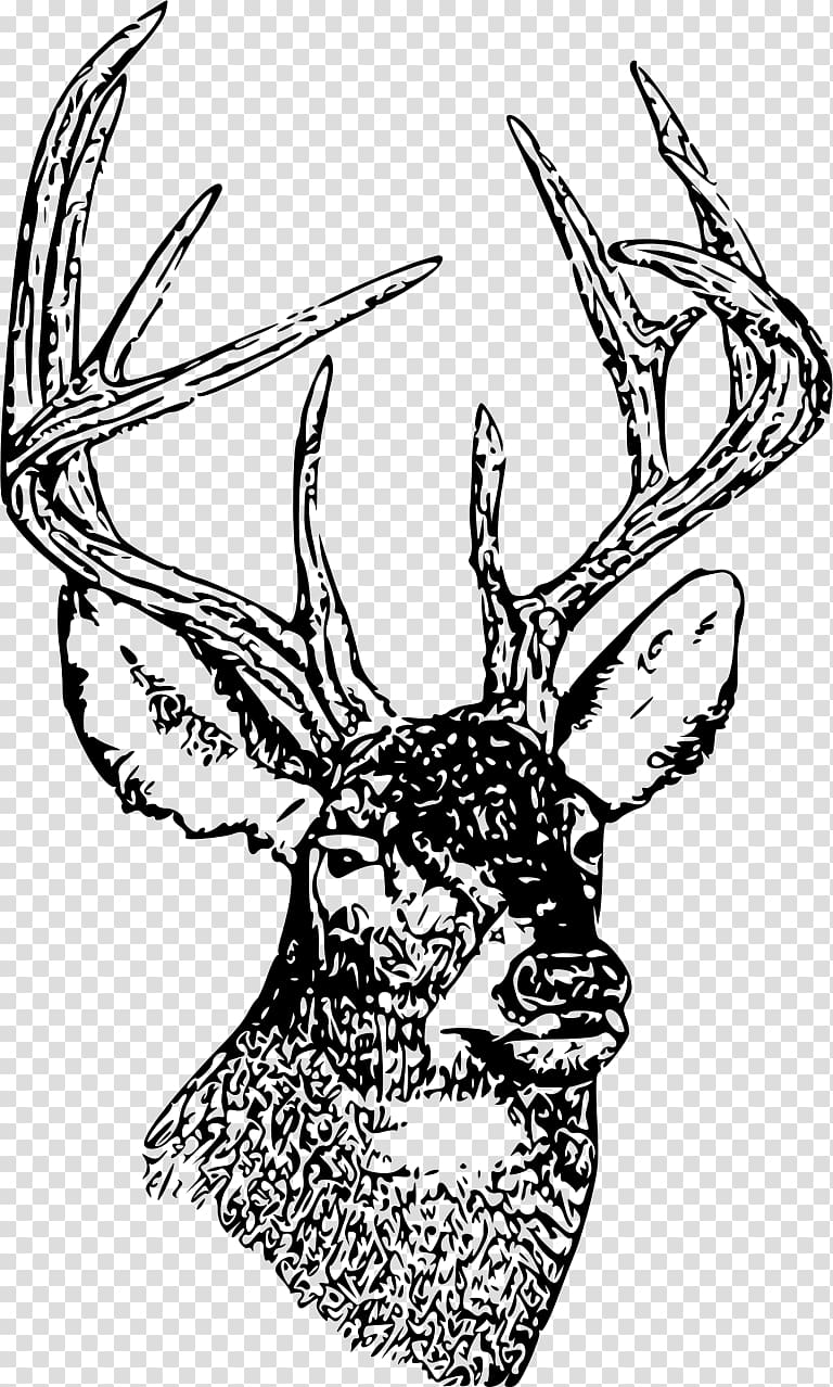 White-tailed deer Drawing , deer transparent background PNG clipart