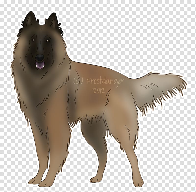 Tervuren Belgian Shepherd German Shepherd Malinois dog Norwegian Buhund, shepherd transparent background PNG clipart