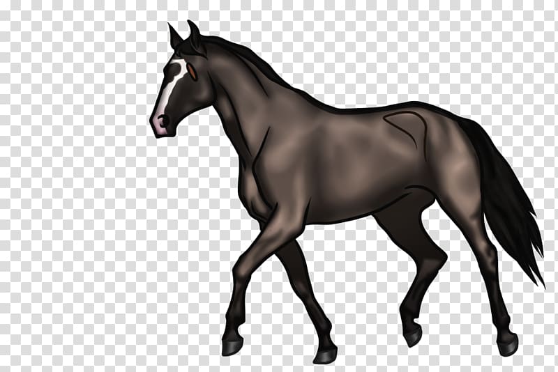 Foal Mane Mare Mustang Stallion, shading style transparent background PNG clipart
