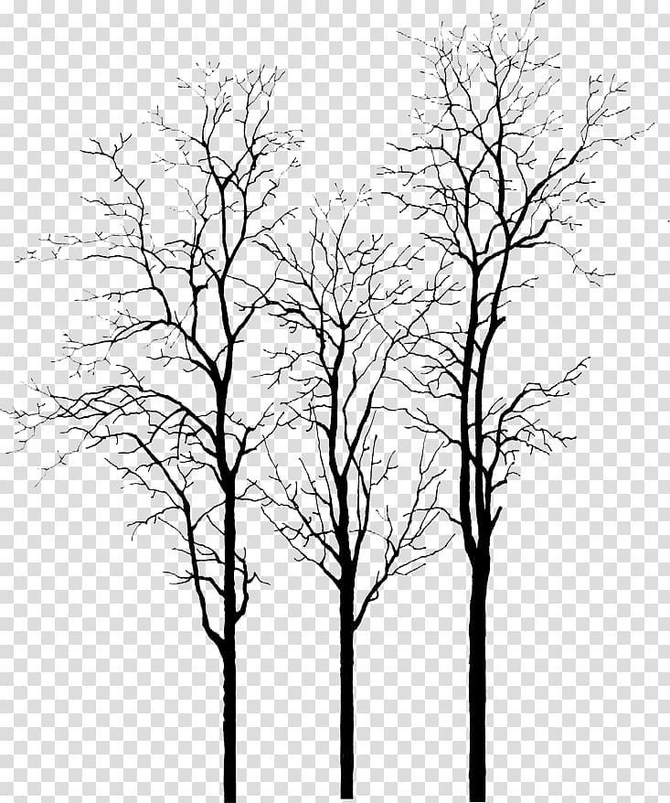 dead tree forest transparent background PNG clipart