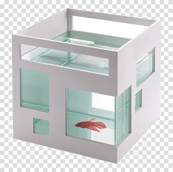 Umbra Fishhotel Siamese fighting fish Aquarium, hotel transparent background PNG clipart
