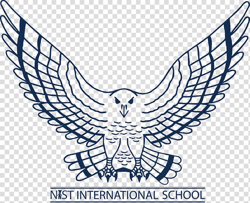 NIST International School Atlanta Falcons Sport Logo, school logo transparent background PNG clipart