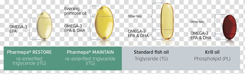 Triglyceride Paper .travel Brand, Omega3 Fatty Acid transparent background PNG clipart