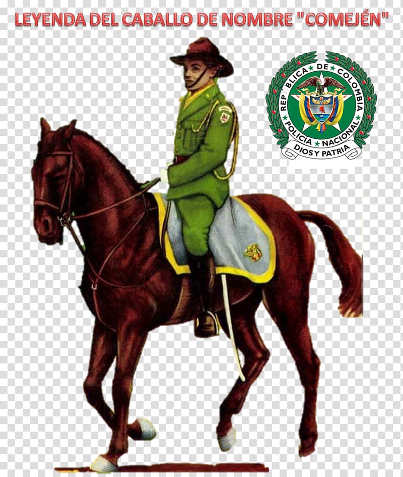 National Police of Colombia Horse National Police Corps Mounted police, horse transparent background PNG clipart