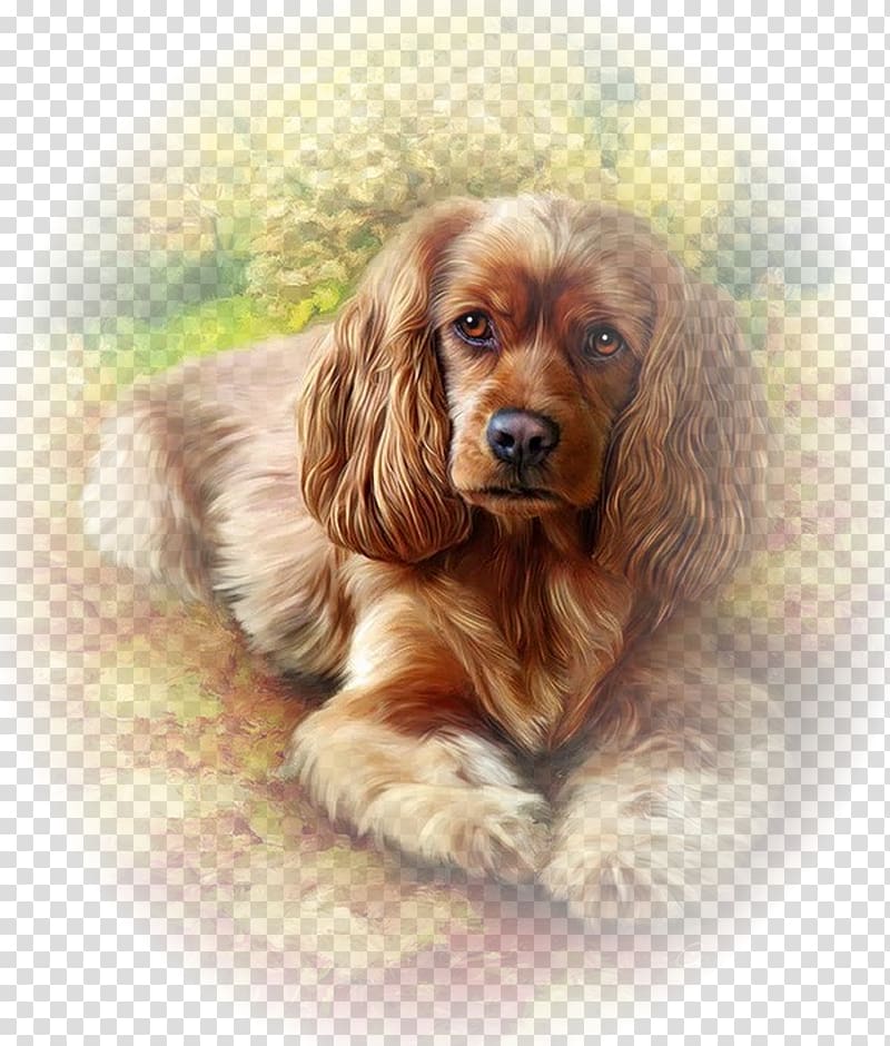 English Cocker Spaniel Paint by number Painting Drawing Cavalier King Charles Spaniel, painting transparent background PNG clipart