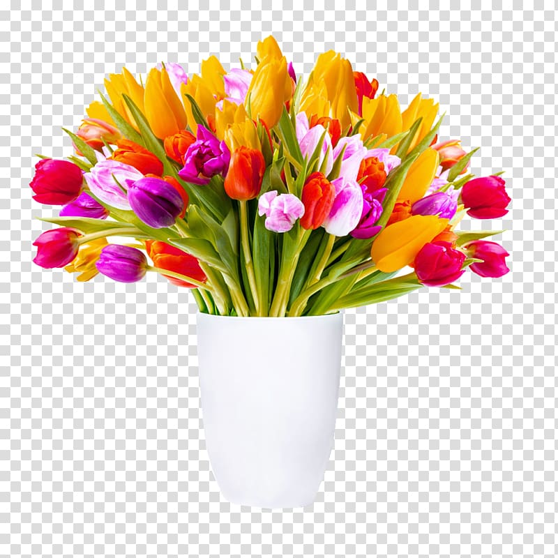 iPhone 6 Plus Tulip Flower , Spread tulip material transparent background PNG clipart