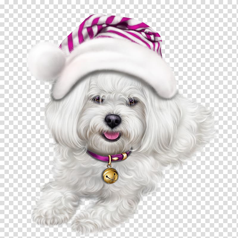 Lhasa Apso Puppy Symbol , puppy transparent background PNG clipart