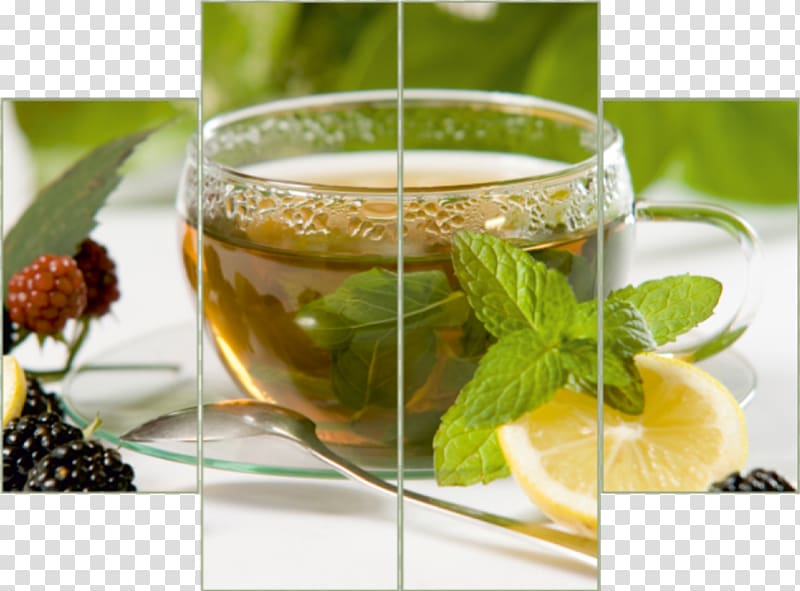 Green tea Tea plant Herbal tea International Tea Day, green tea transparent background PNG clipart