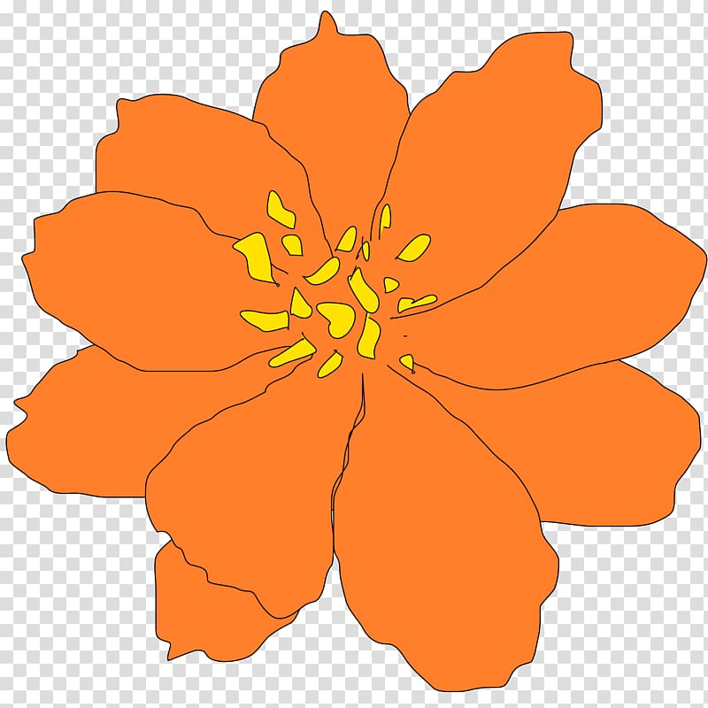 Flower , marigold transparent background PNG clipart