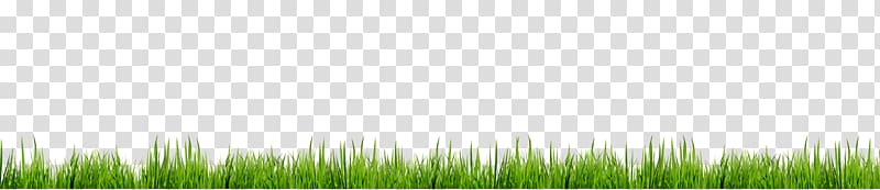 Grasses Lawn Energy , Green grass decoration borders transparent background PNG clipart