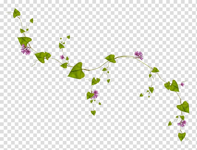 Film Desktop , vines transparent background PNG clipart