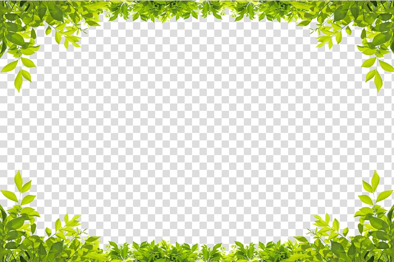 Leaf Green , Green leaves border, low-angle of green leaf plant transparent background PNG clipart