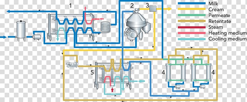 Cream Milk Cheesemaking Whey, Swiss cheese plant transparent background PNG clipart