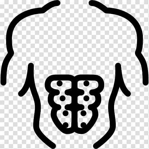 Computer Icons Muscle Torso Human back Thorax, others transparent background PNG clipart