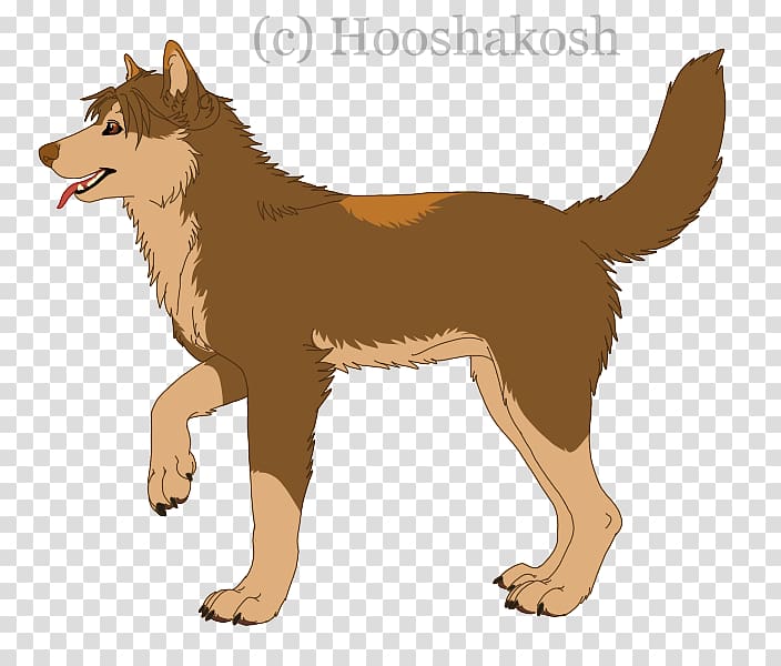Finnish Spitz Dhole Italian wolf Canidae Art, realism transparent background PNG clipart