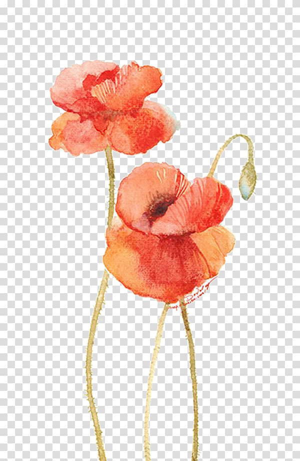 orange flowers painting, Flower Watercolor painting Illustration, Hand-painted Bana transparent background PNG clipart