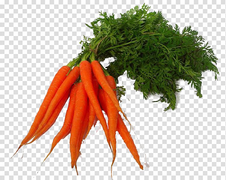Vegetarian cuisine Carrot juice Carrot juice Vegetable, confidence interval formula tree transparent background PNG clipart