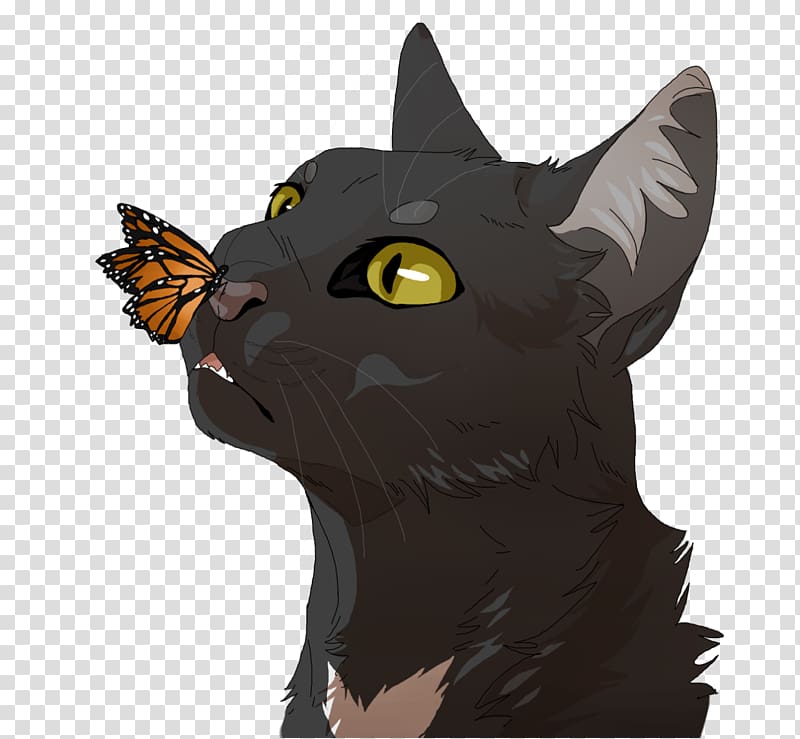 Domestic short-haired cat Whiskers Ravenpaw Warriors, Cat transparent background PNG clipart