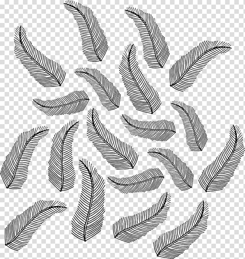 Feather Motif Pattern, Hand painted feathers transparent background PNG clipart