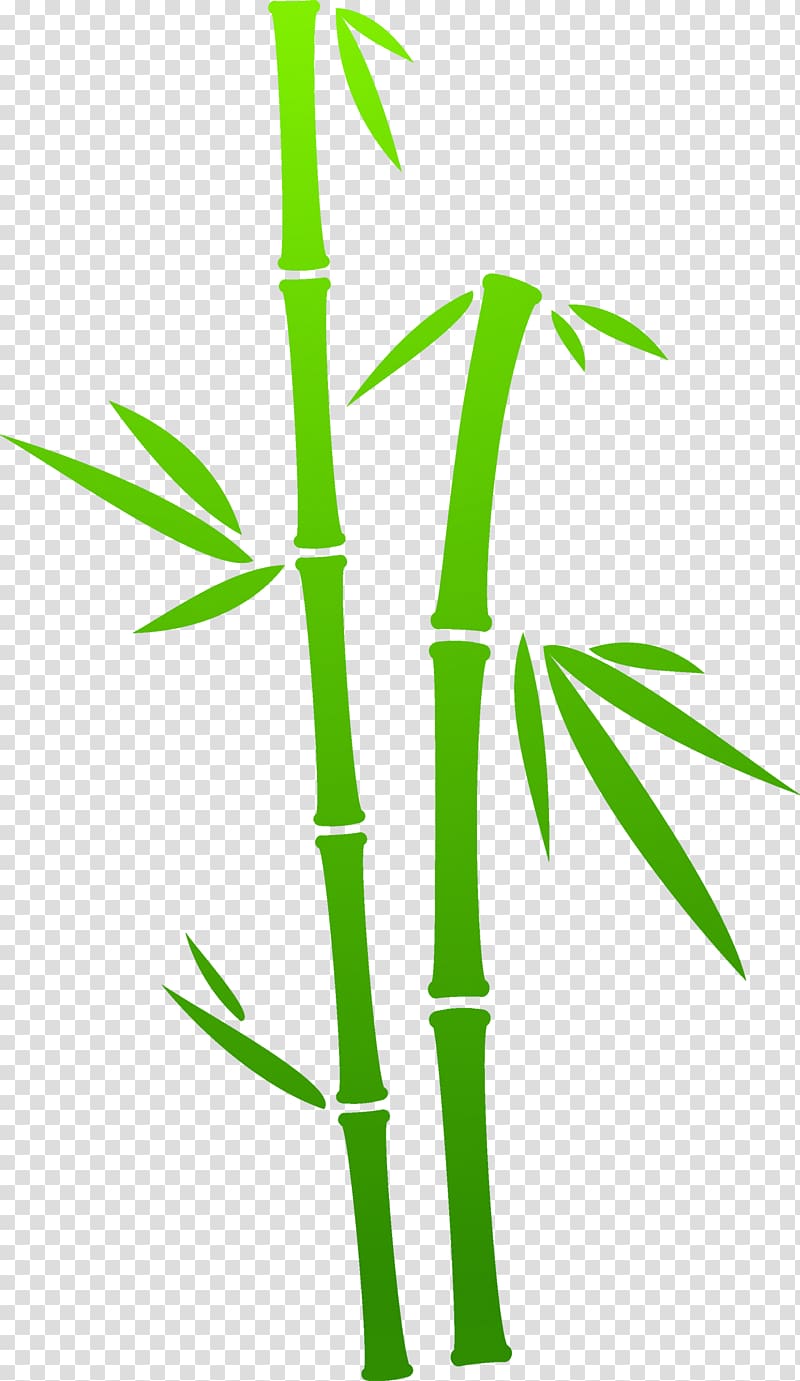 Bamboo Painting Green, Green Bamboo transparent background PNG clipart