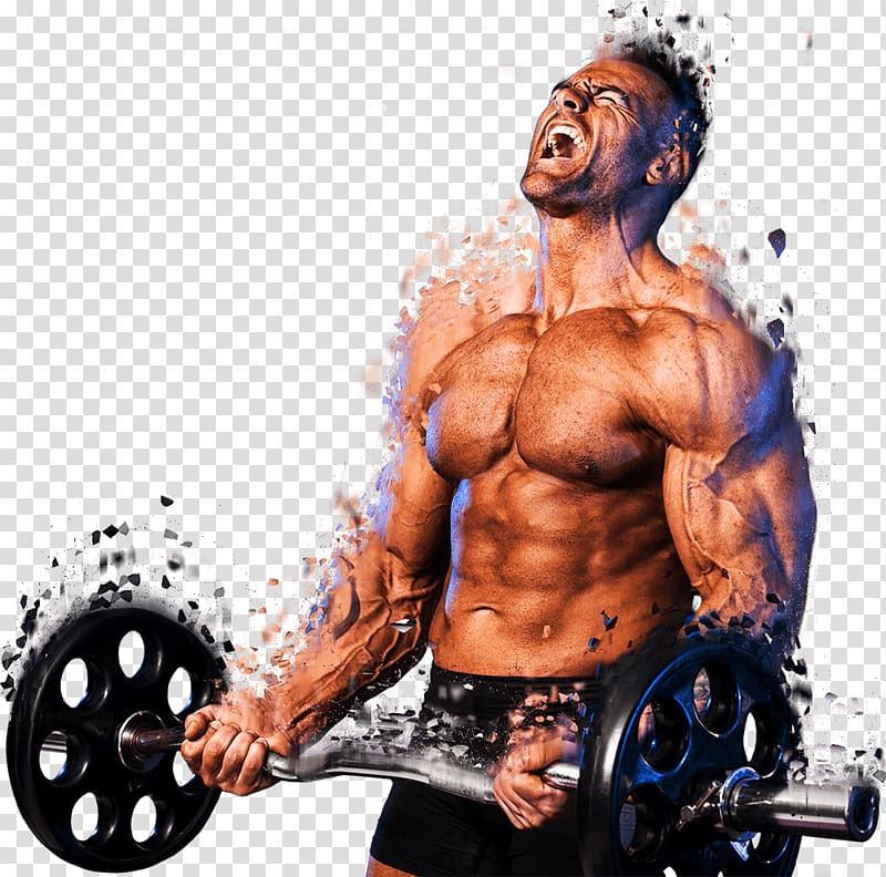 Weight training Muscle Bodybuilding Barbell Lean body mass, chest muscle transparent background PNG clipart