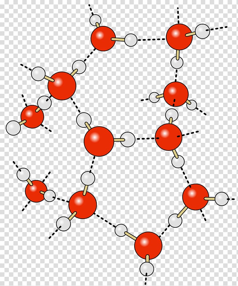 Hydrogen bond Water Partial charge Chemical bond, hydrogen transparent background PNG clipart
