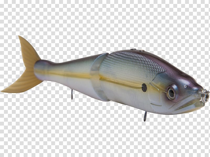 Mackerel Fish products Milkfish Oily fish, Topwater Fishing Lure transparent background PNG clipart
