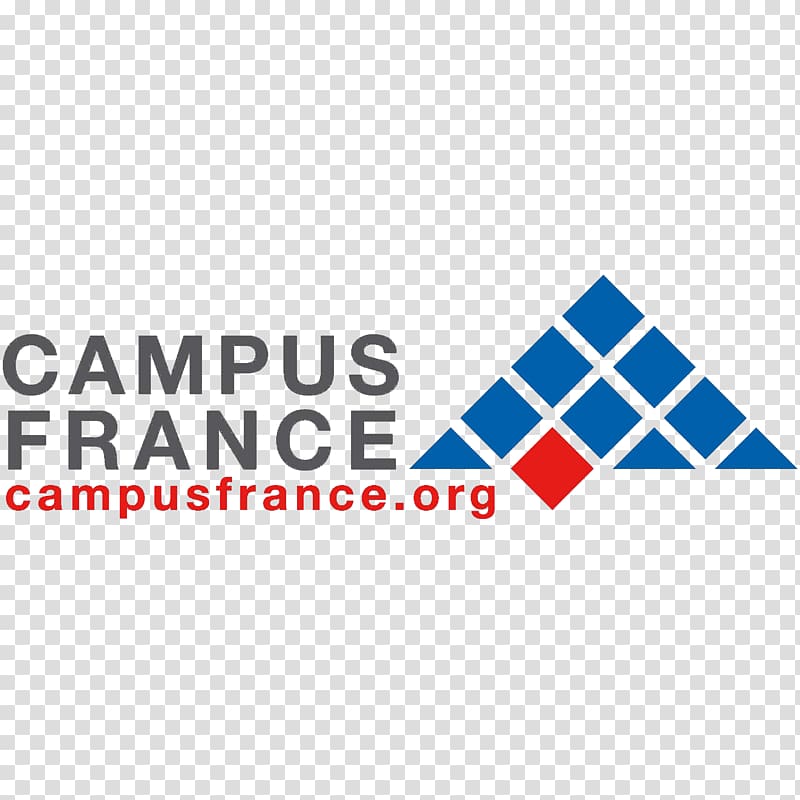 Toulouse Business School CampusFrance Agency Pantheon-Sorbonne University École normale supérieure Student, student transparent background PNG clipart