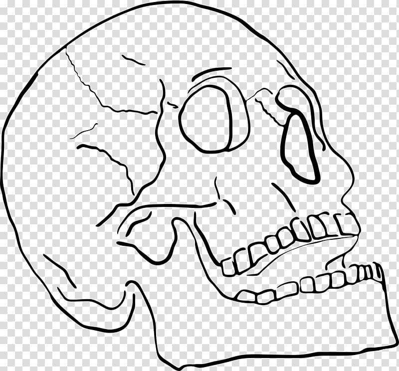 Jaw Skull Sticker Nose, bone transparent background PNG clipart
